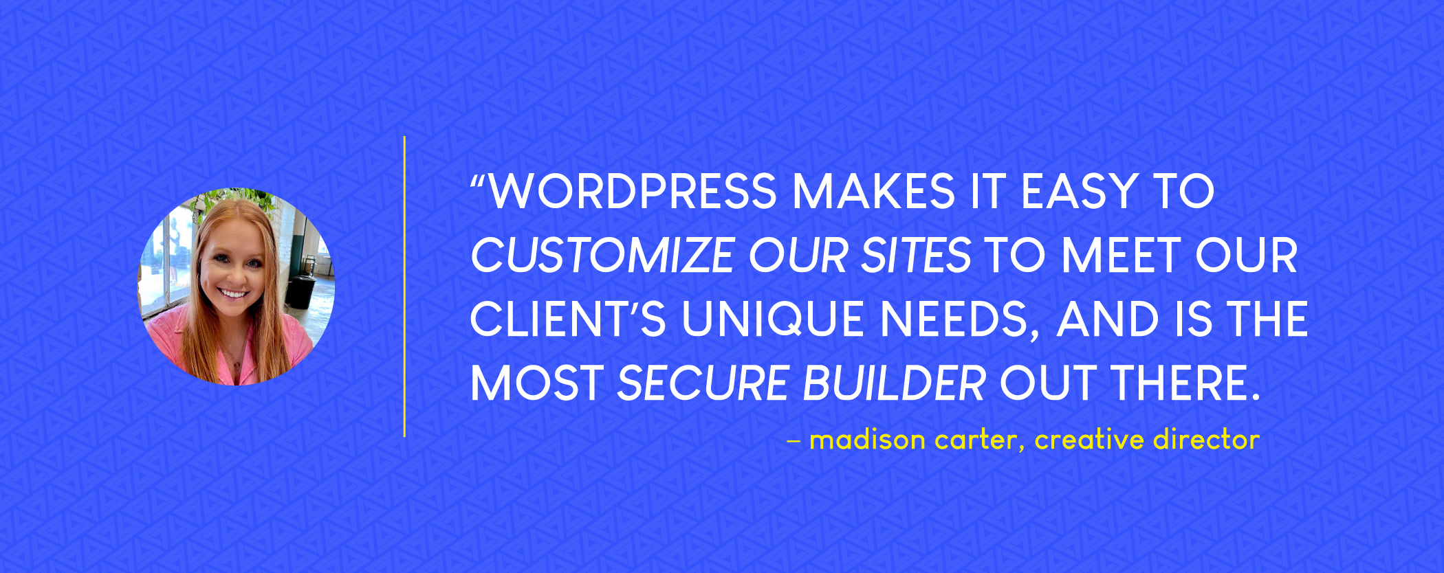 how to use wordpress for web design