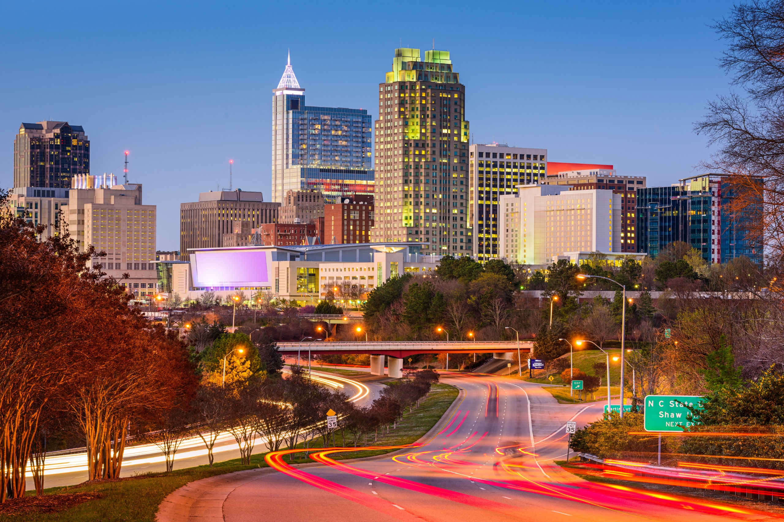 Lazarus_Design_Team_Raleigh